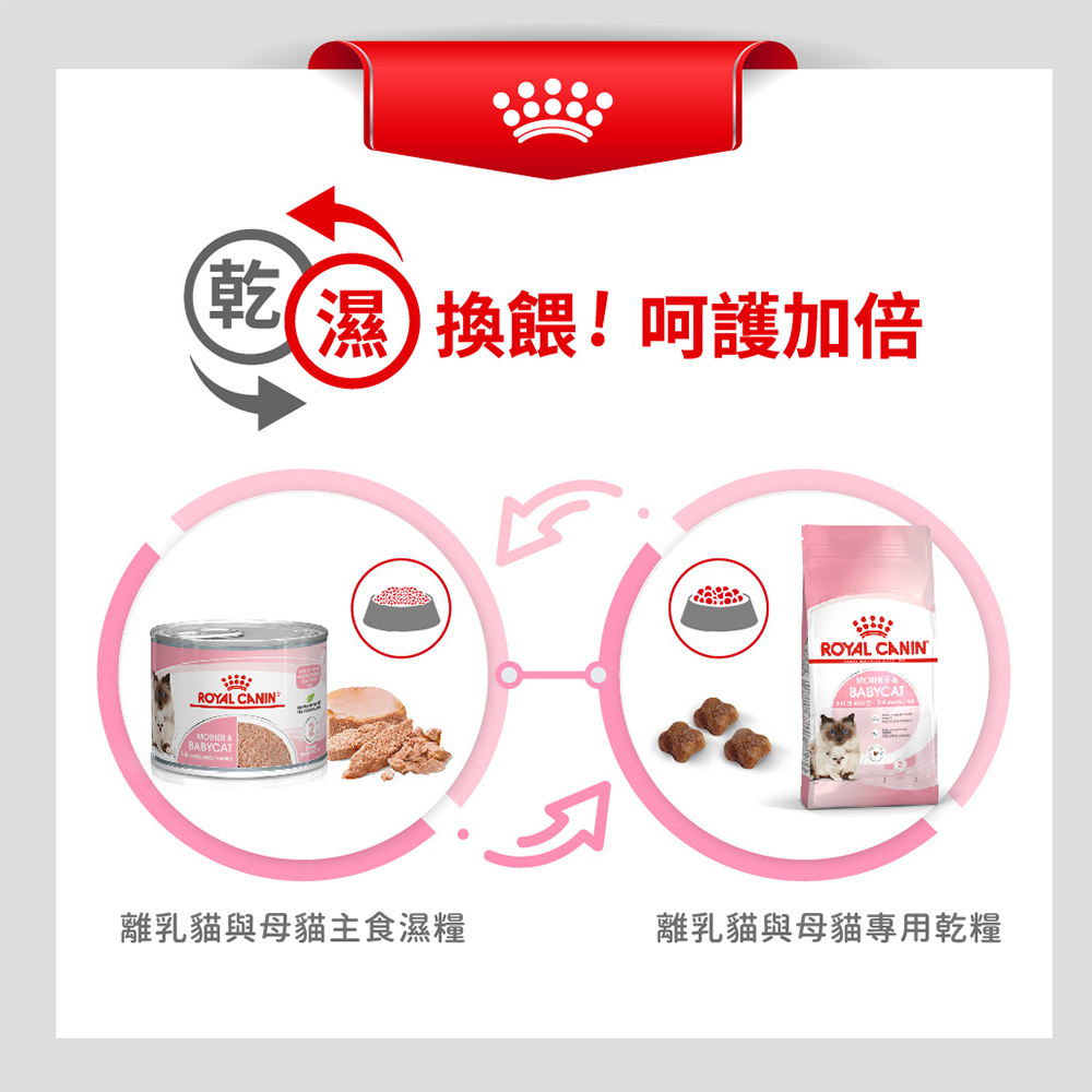 【Royal Canin法國皇家】離乳貓與母貓BC34, , large