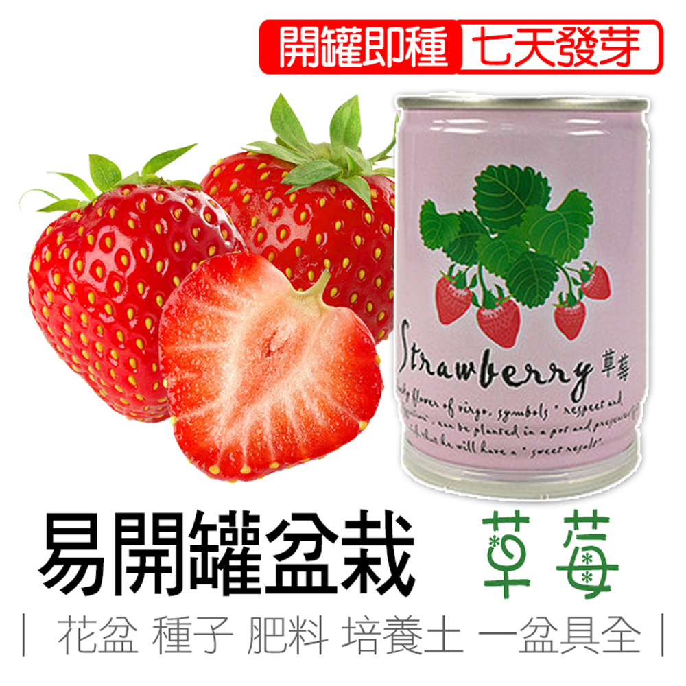 strawberry, , large