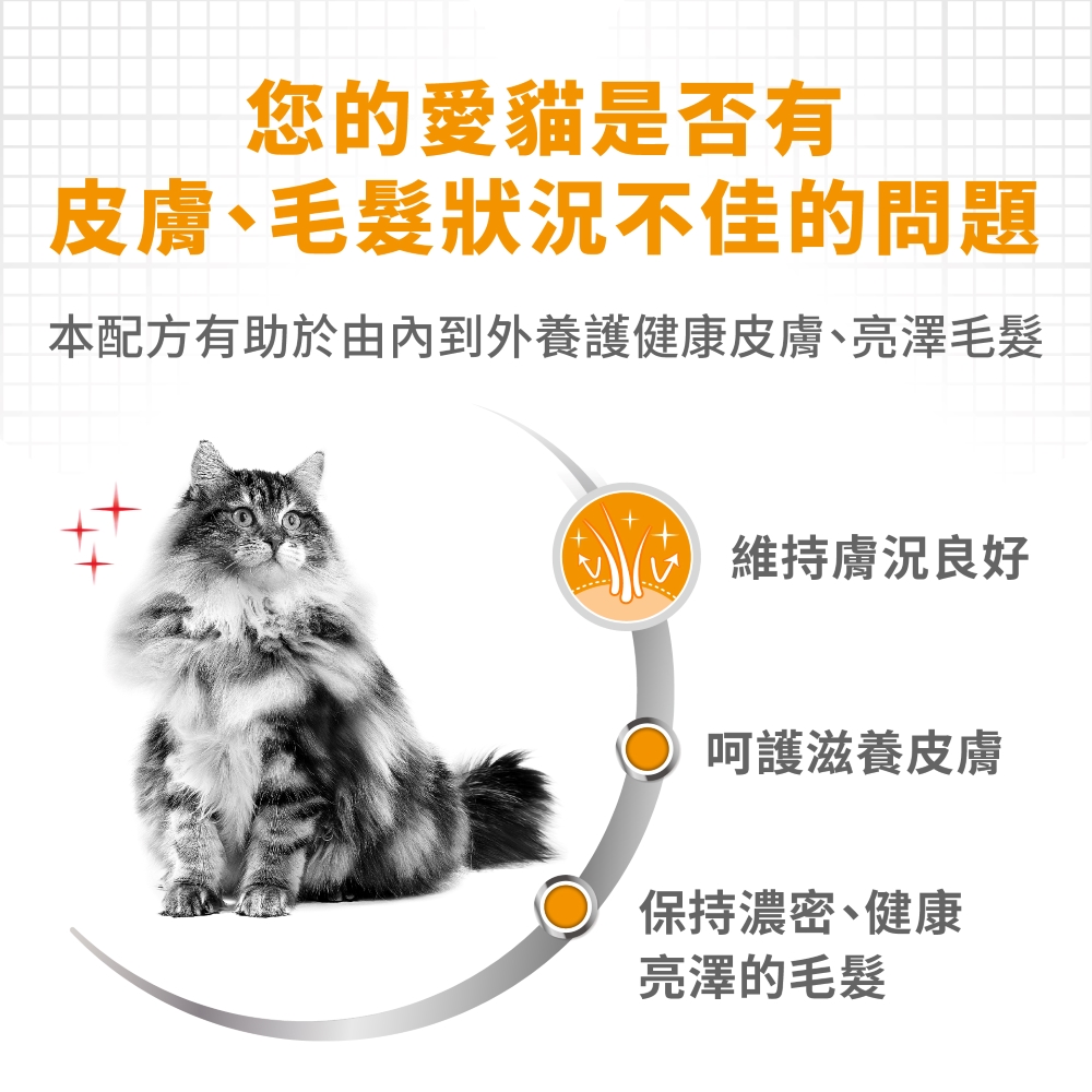 【拉拉寵物小舖】法國皇家 貓飼料 HS33 亮毛護膚成貓專用乾糧 2公斤, , large