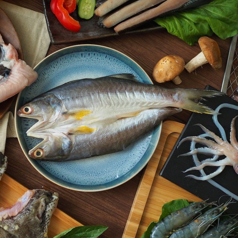 Fourfinger threadfin