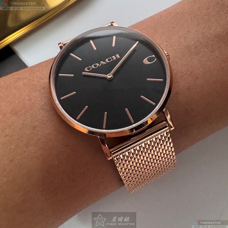 [TIMEMASTER] COACH watch, 42mm, CH00243, , large