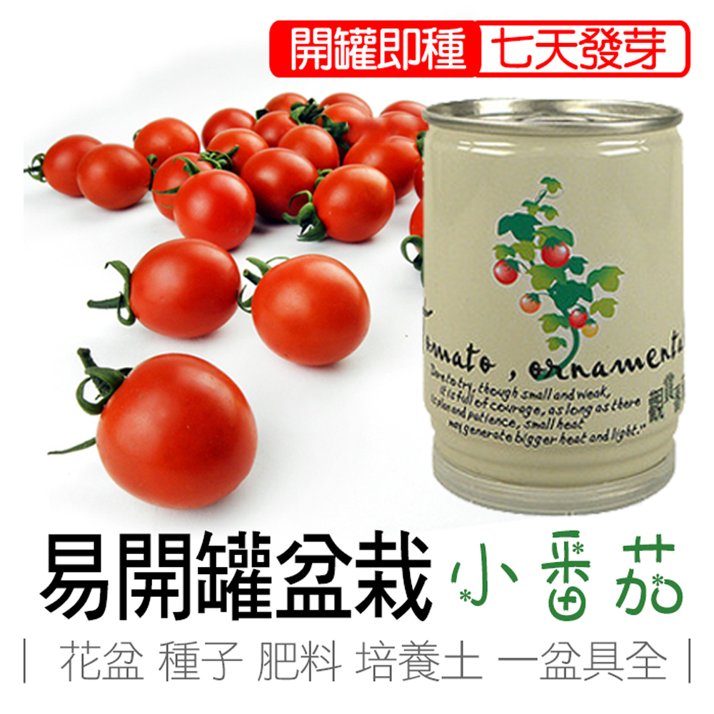 tomato, , large