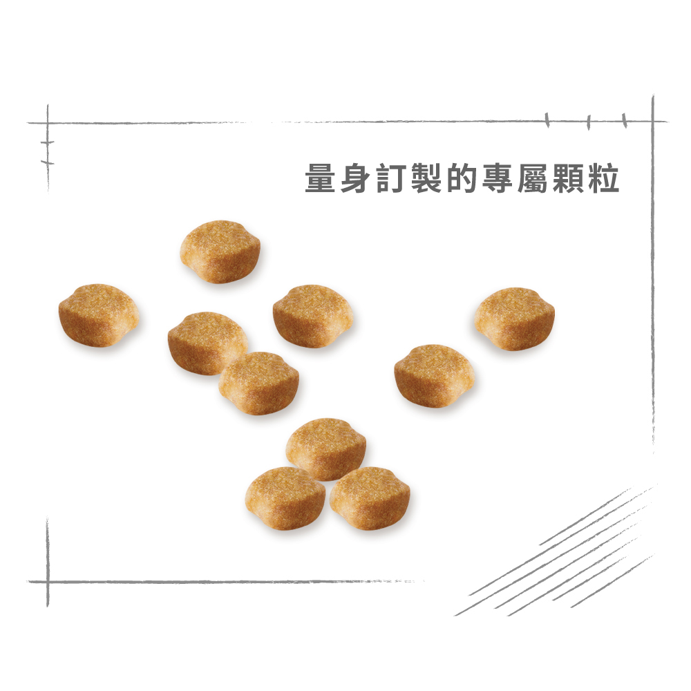 【Royal Canin法國皇家】約克夏成犬YSA, , large