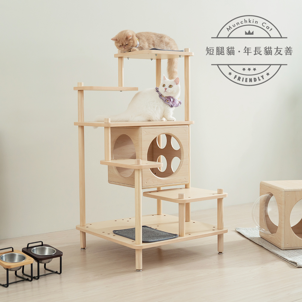 【paipaipets】Short-Legged Cat Jumping Staircase, , large