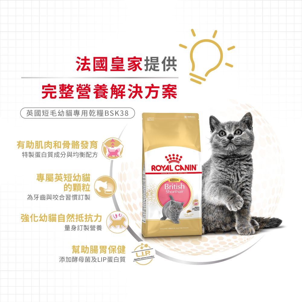 【Royal Canin法國皇家】英國短毛幼貓BSK38, , large