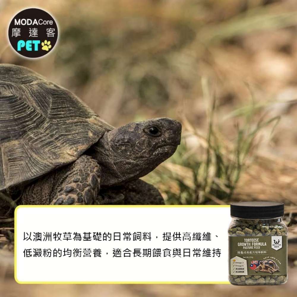 【摩達客特寵系列】維益特-陸龜成長配方牧草飼料250g, , large