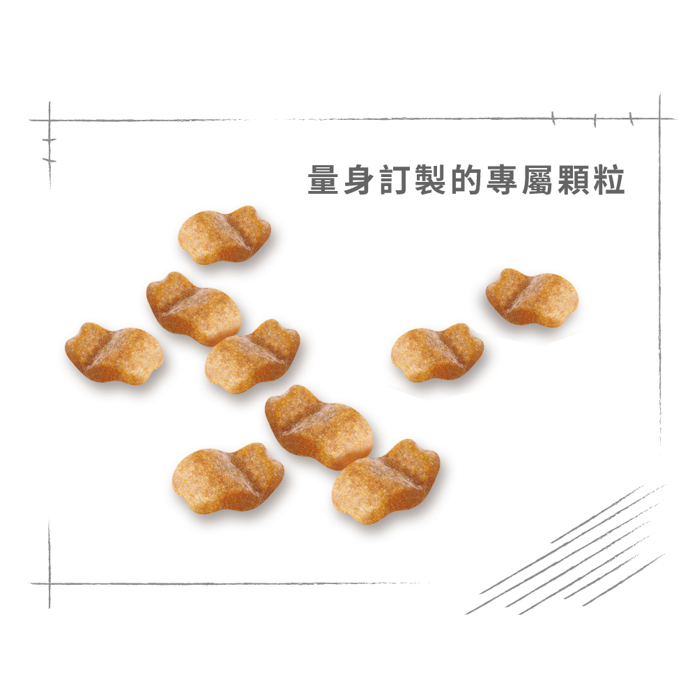 【Royal Canin法國皇家】鬥牛成犬BDA, , large