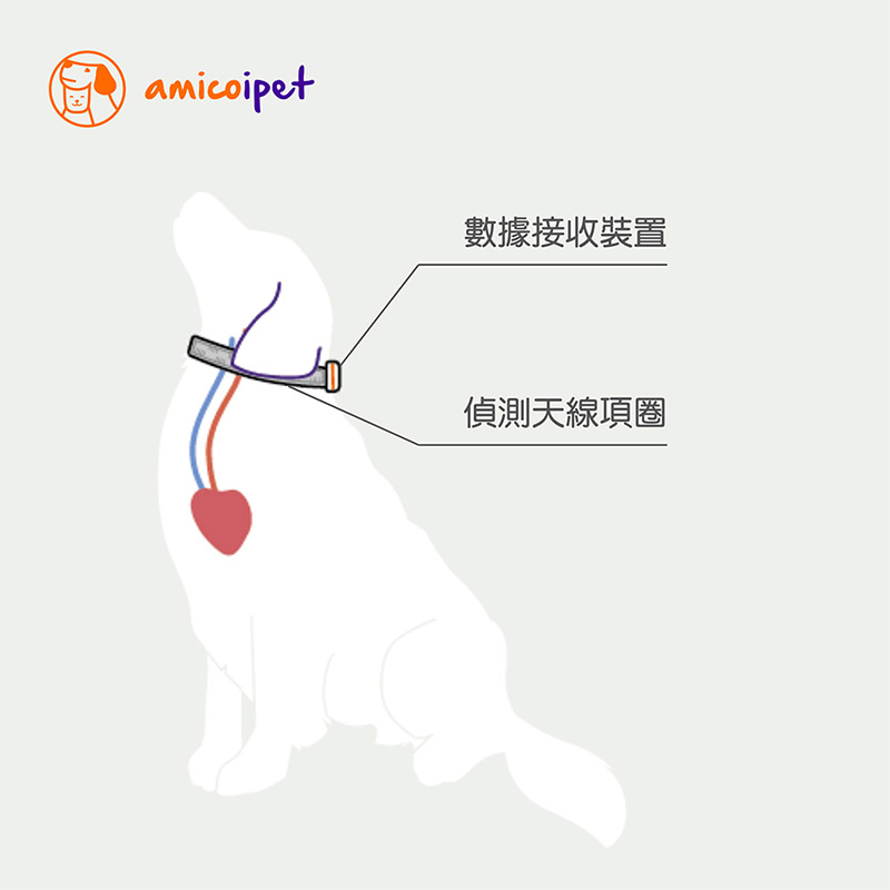 【精鼎智能】amicoipet｜寵物居家智能生理監測項圈組 - 黑色S, , large