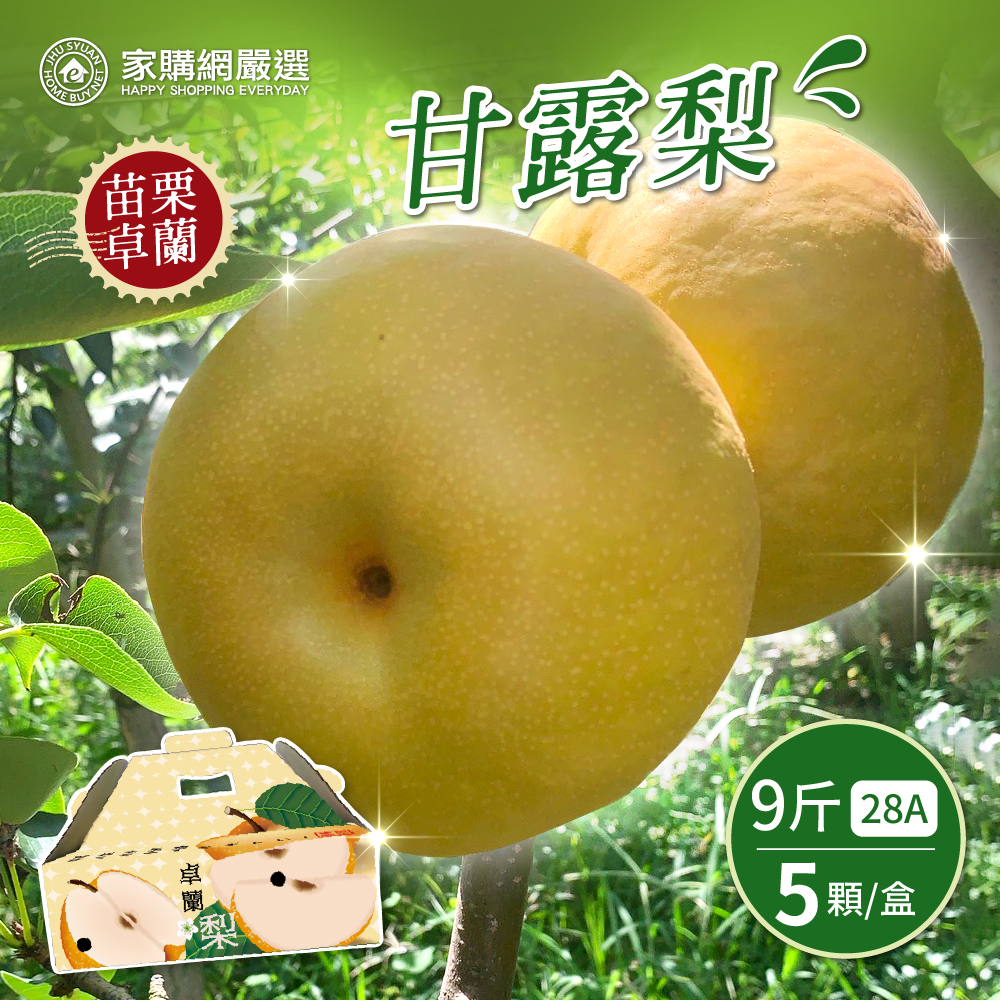 【家購網嚴選】28A甘露梨大禮盒9斤(5顆/盒), , large