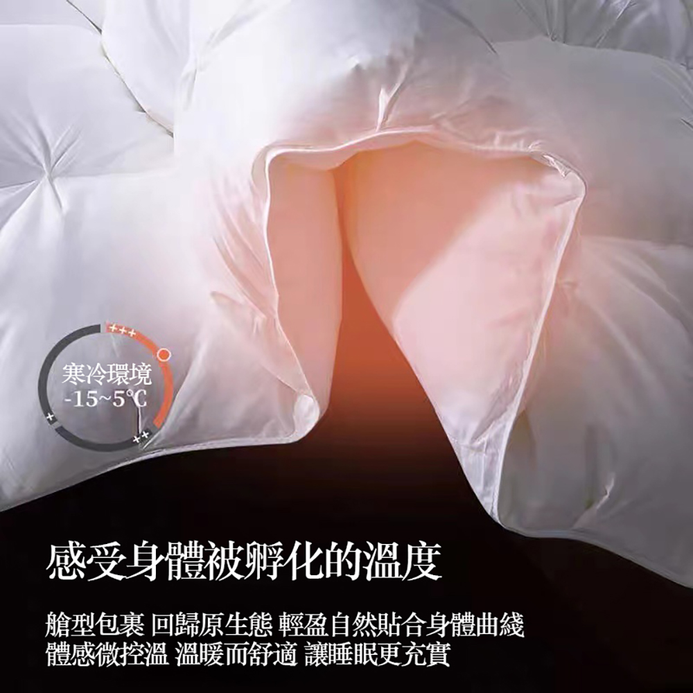 Hilton White Goose Down Comforter for Winter 180*220CM, , large