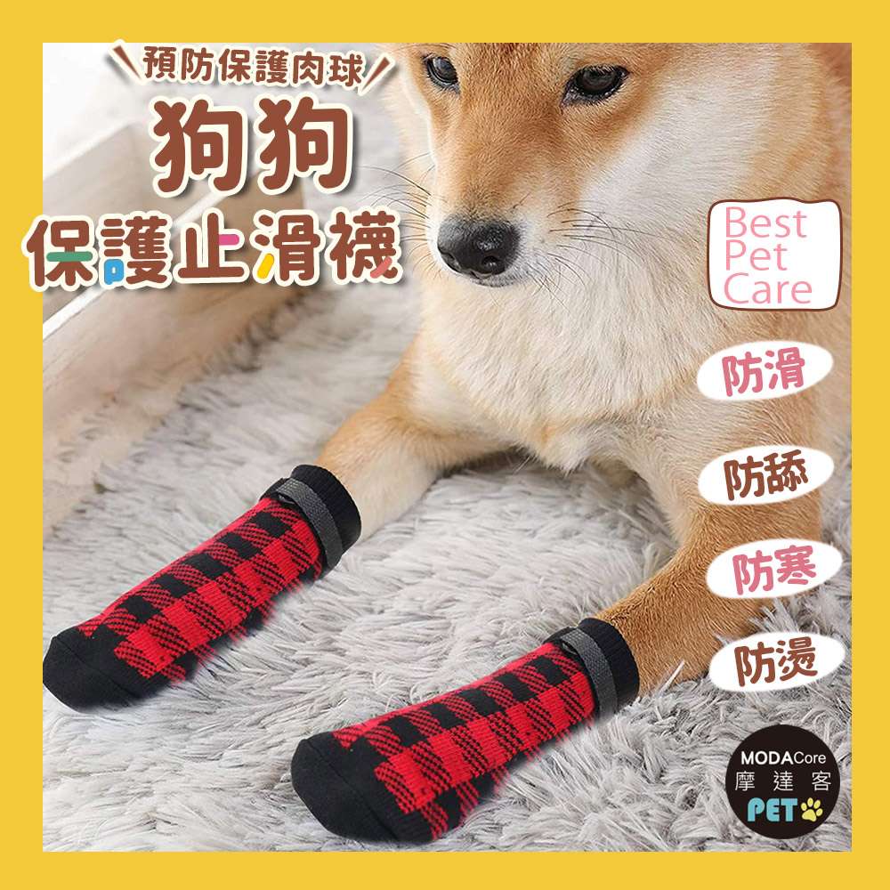 PETS, , large