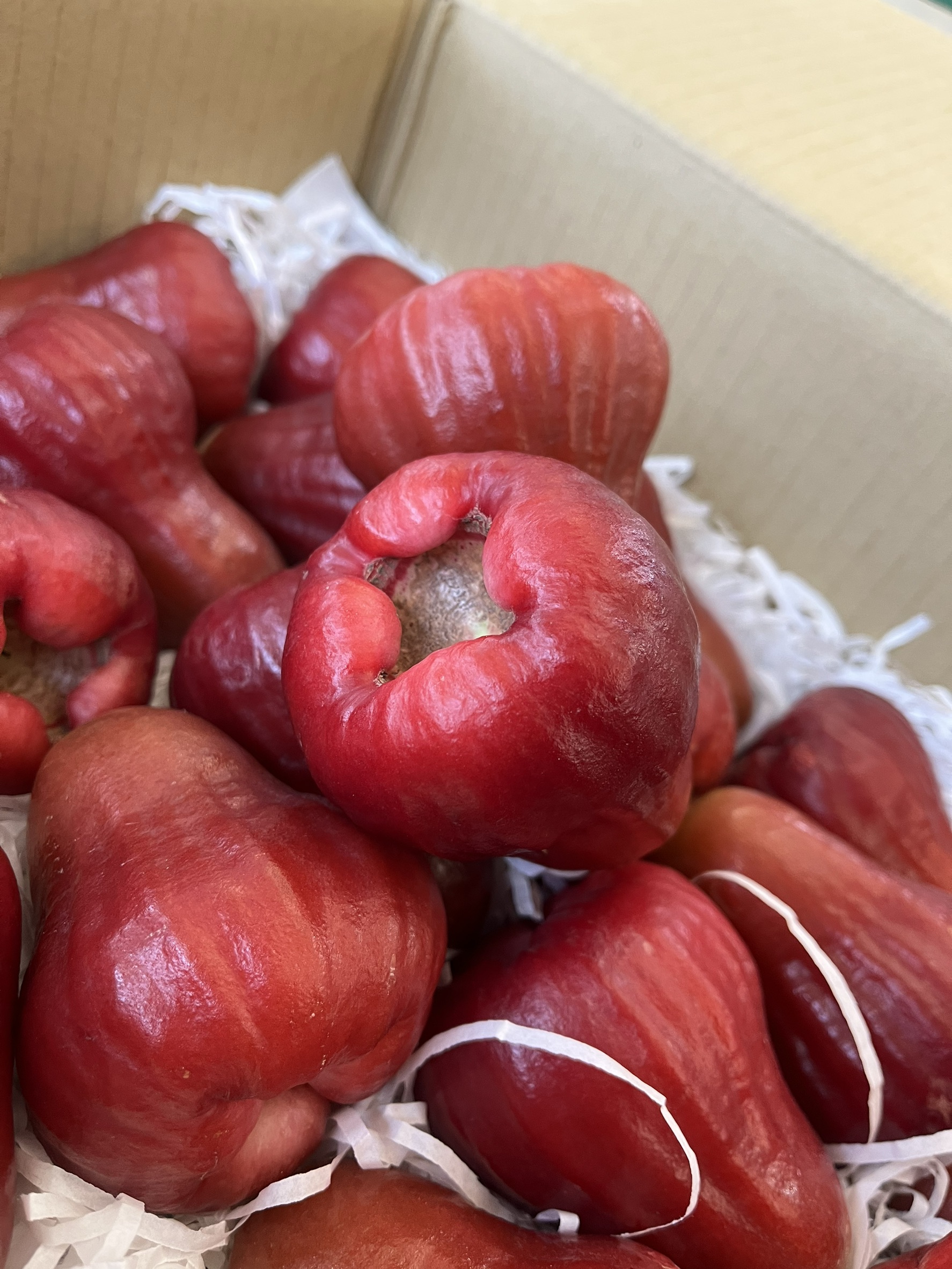 [芯鮮果]台灣嚴選( 黑糖蜜蓮霧 ), , large