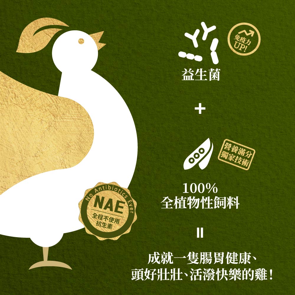【Dachan Foods】Holy Chicken Classic Scallion Chicken Thighs (400g/pack [Content: 290g]) - Single pack (2 pieces total), , large