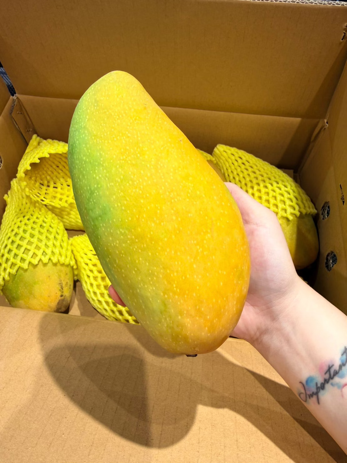 [芯鮮果]台灣嚴選( 金煌芒果 ), , large