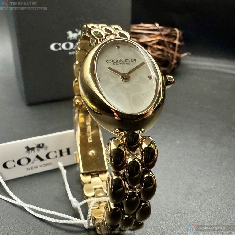 [TIMEMASTER] COACH watch, 22mm28mm, CH00262, , large