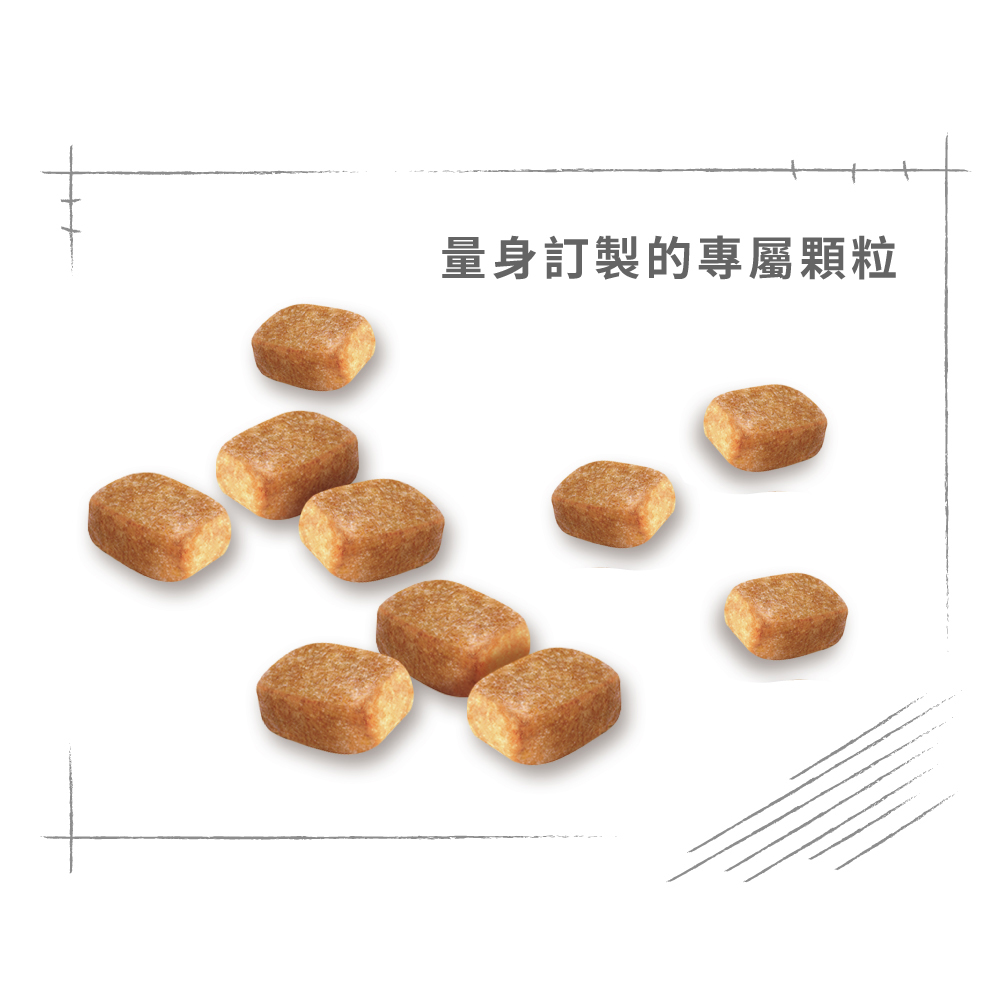 Royal Canin Chihuahua Adult CHA, , large