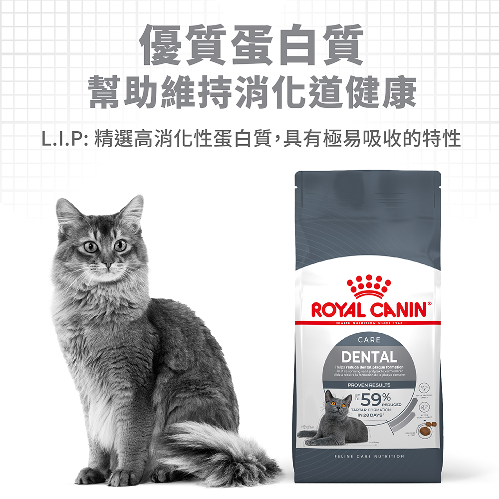 【Royal Canin法國皇家】強效潔牙成貓O30, , large