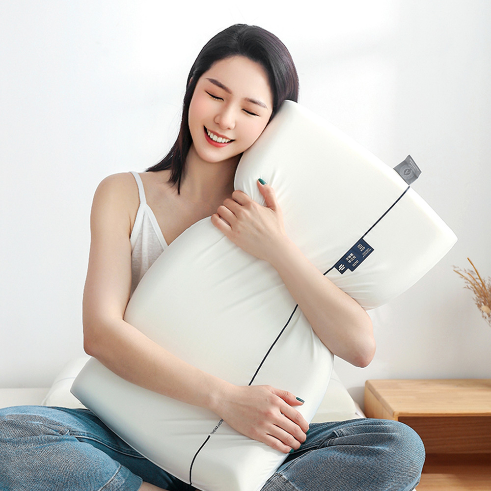 【Albert bedding】memory_pillow_2piece, , large