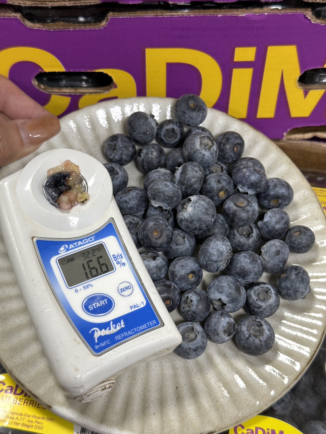 Blueberry, , large