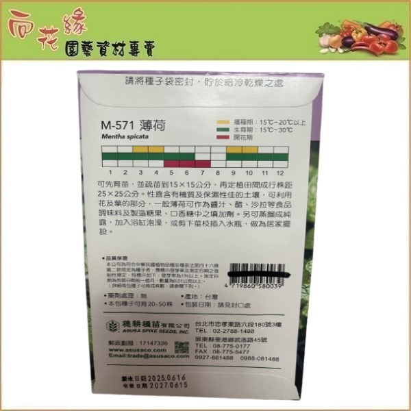 Skystar Mint &ndash; Herb Seeds, , large