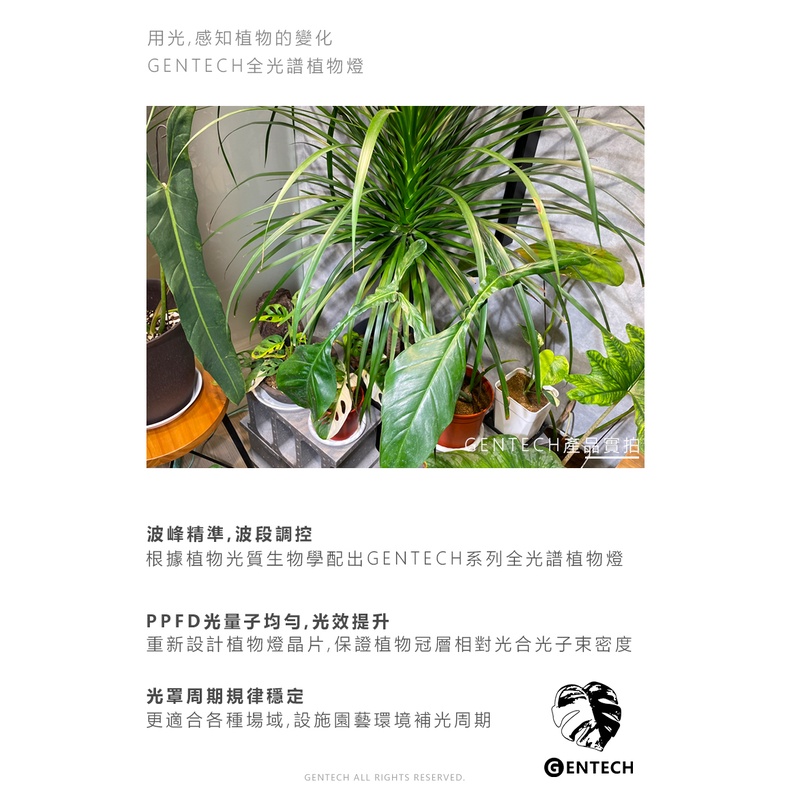 [GENTECH]全光譜LED植物燈 7W 演色性98 生長光 觀葉、塊根植物、多肉植物適用, , large