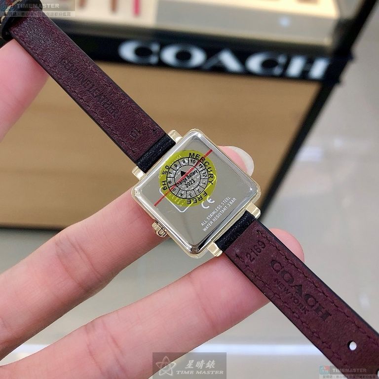 [TIMEMASTER] COACH watch, 22mm, CH00220, , large