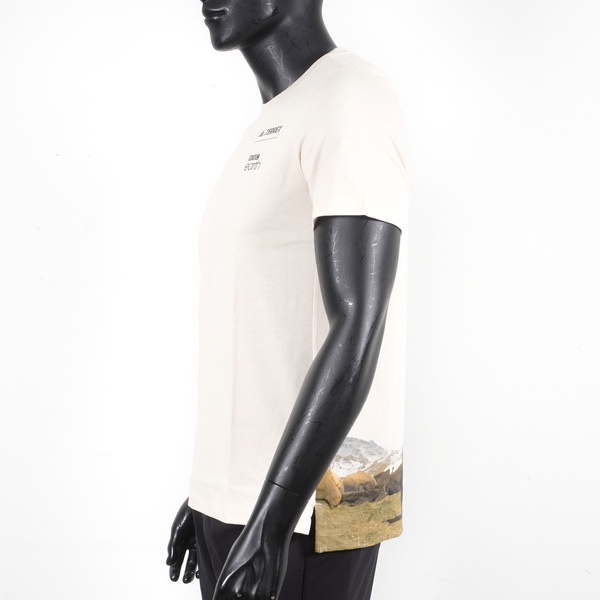 Adidas U BBC GFX TEE 3 男女 短袖 上衣 T恤 休閒 戶外 運動 棉質 舒適 米 [HE5252], , large