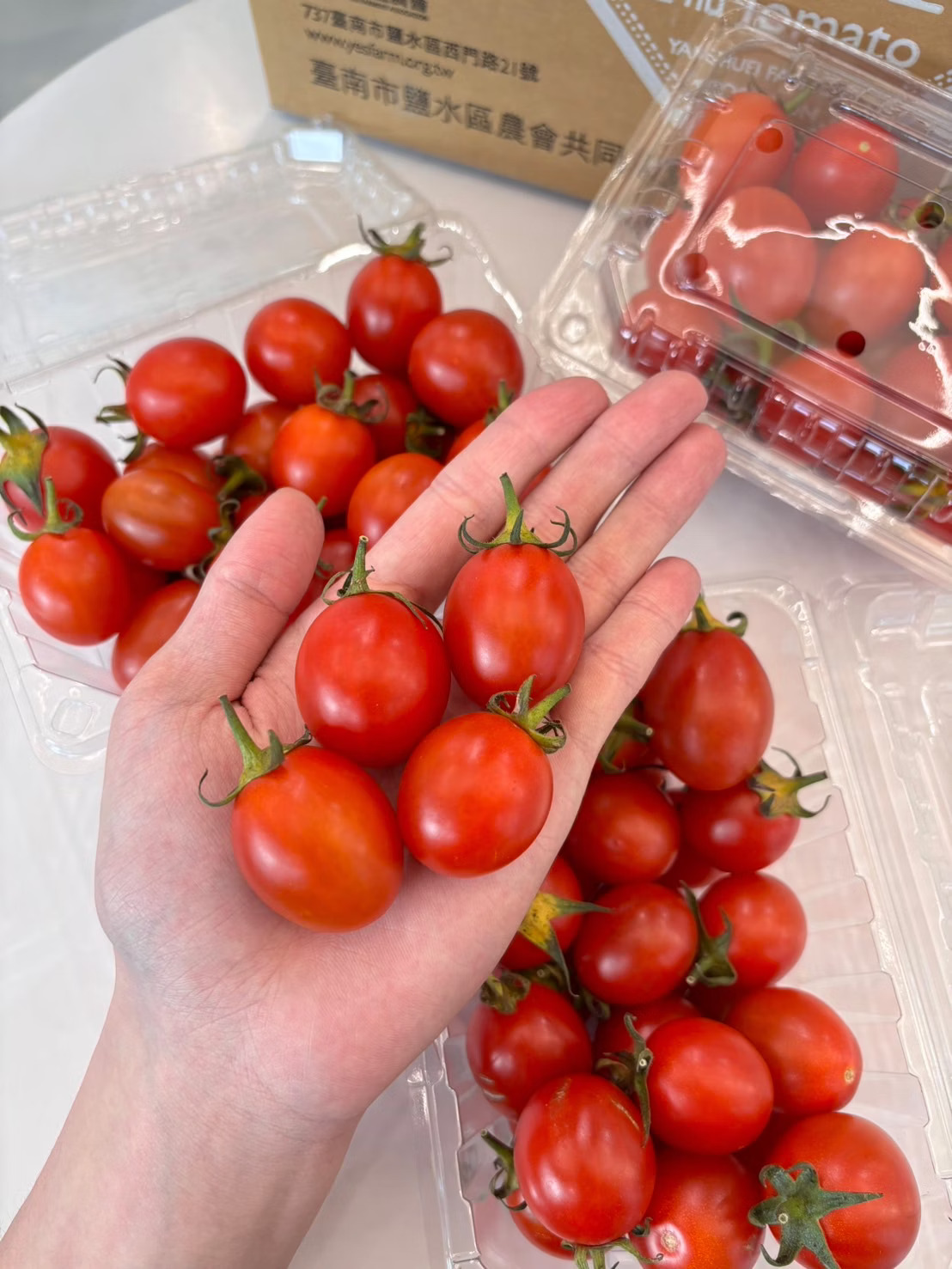Cherry Tomato, , large