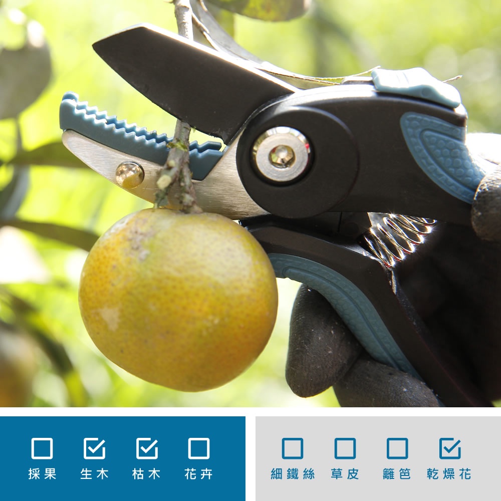 【HOKAS】S984刀砧型修枝剪 (園藝剪刀 花剪 樹枝剪 平口修枝剪 剪定鋏 樹剪 果樹剪 嫁接剪 採果剪), , large