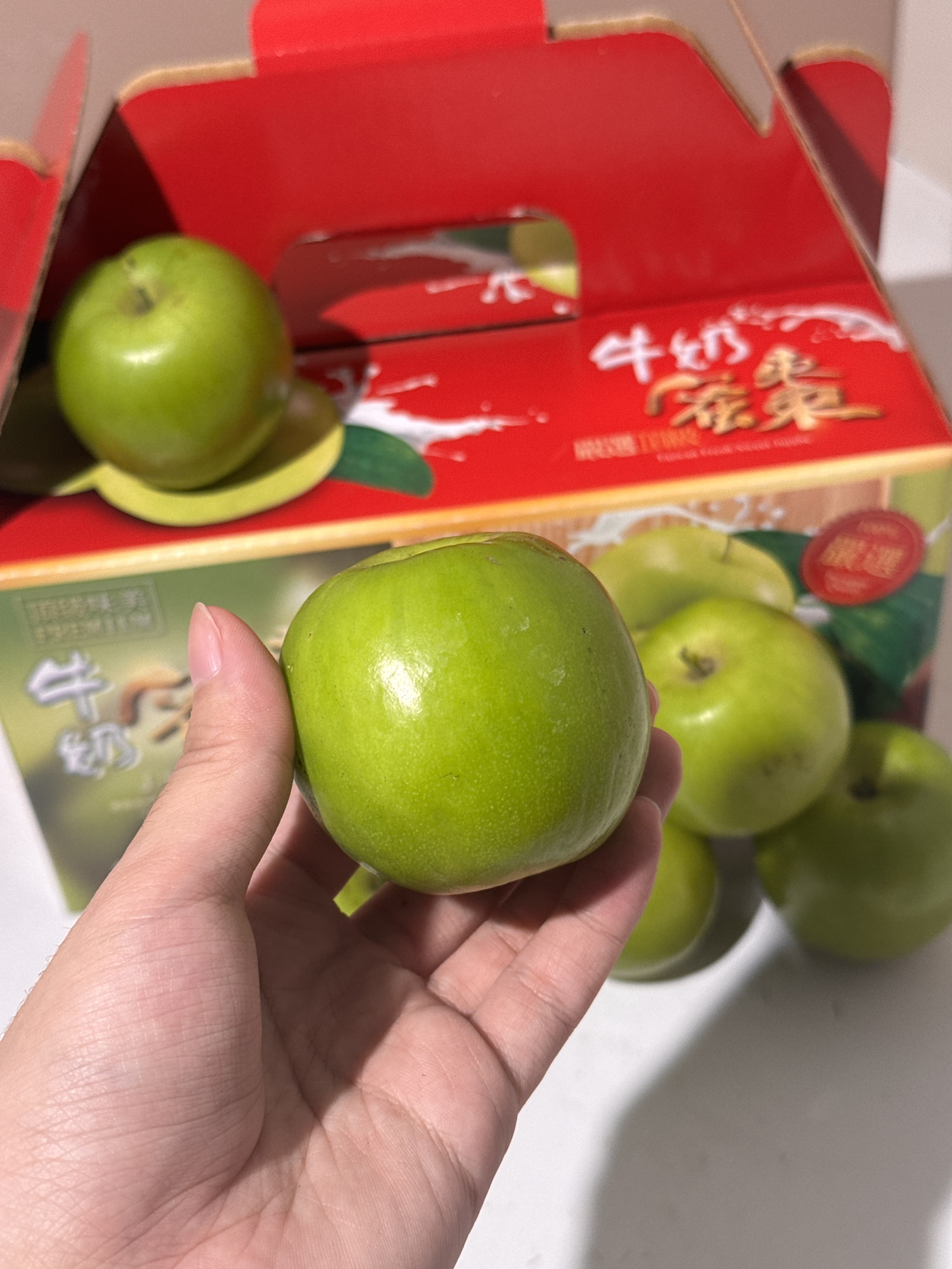 Honey Jujube, , large