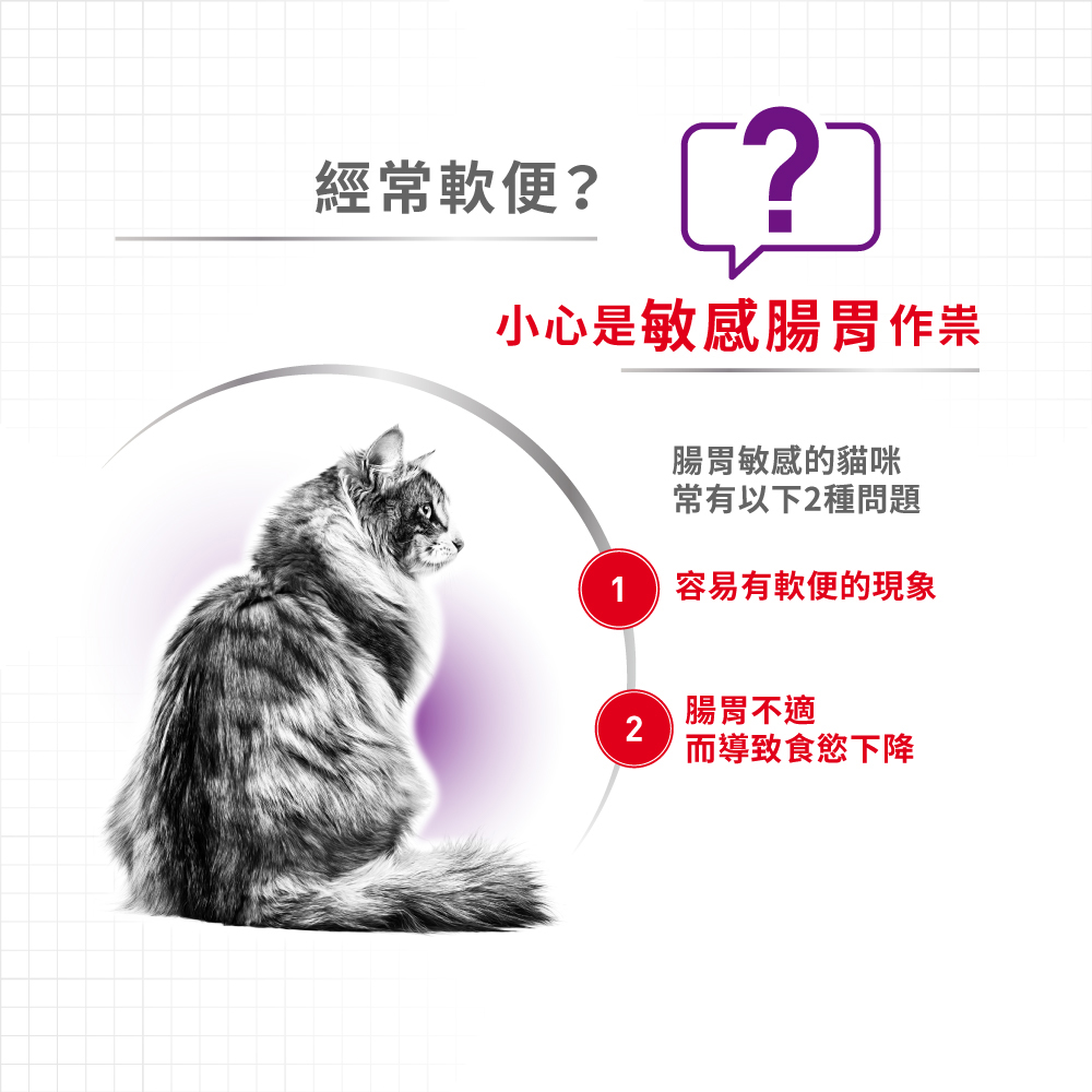 【Royal Canin法國皇家】腸胃敏感成貓專用乾糧S33, , large