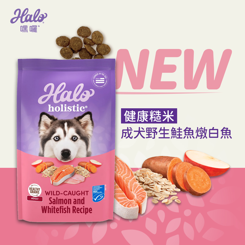 【拉拉寵物小舖】美國 HALO 嘿囉 狗飼料 成犬糙米鮭魚3.5磅 低敏感 天然糧 WDJ推薦 高含肉量