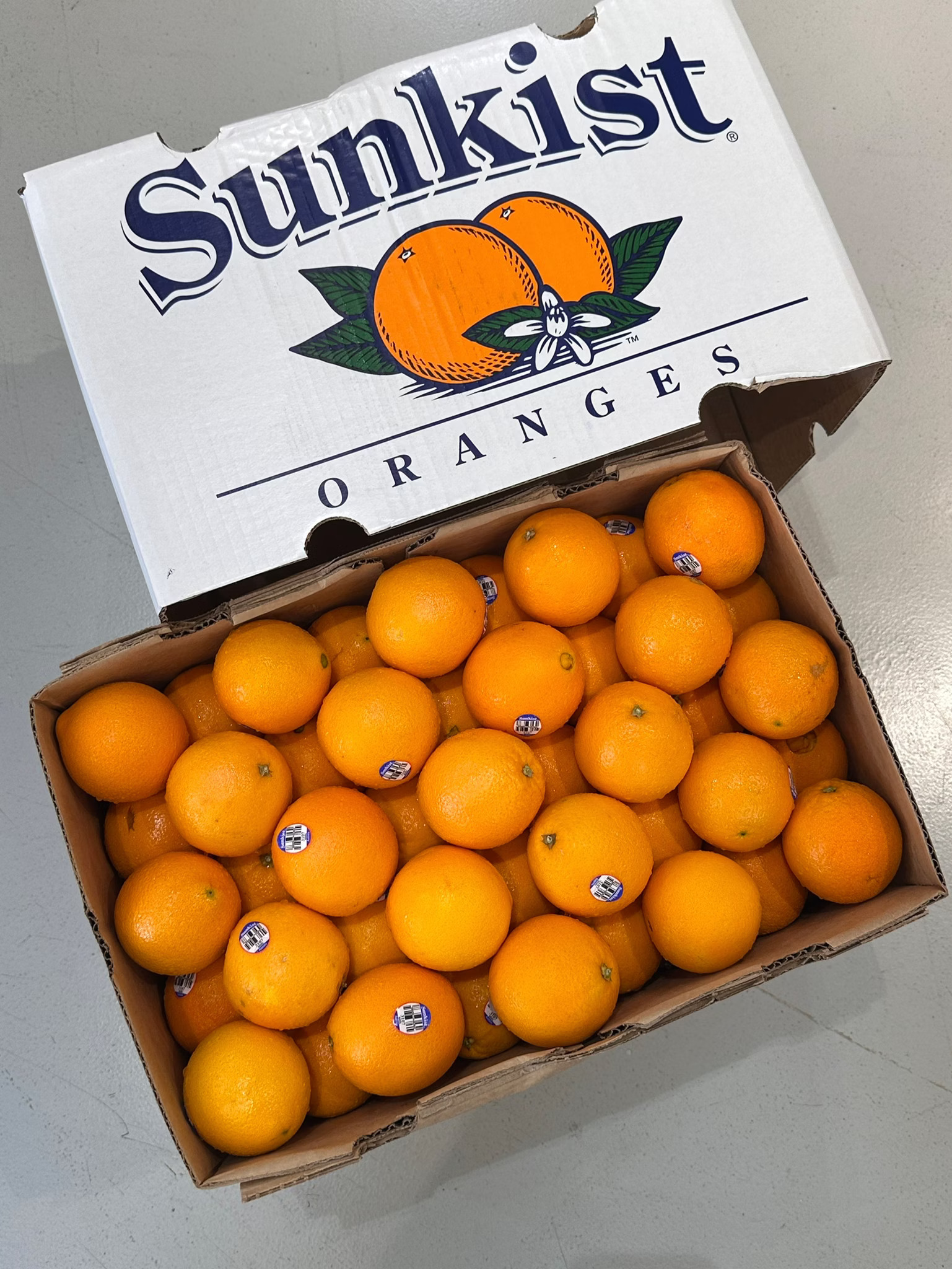 Navel Orange, , large