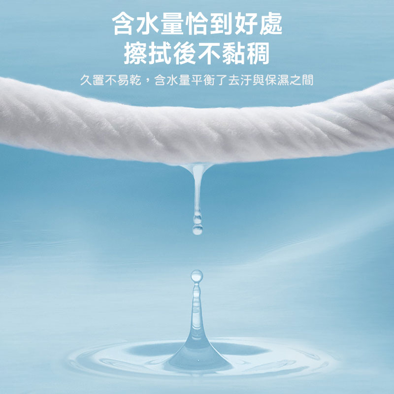 [康醫淨]純水濕紙巾80抽(含蓋), , large