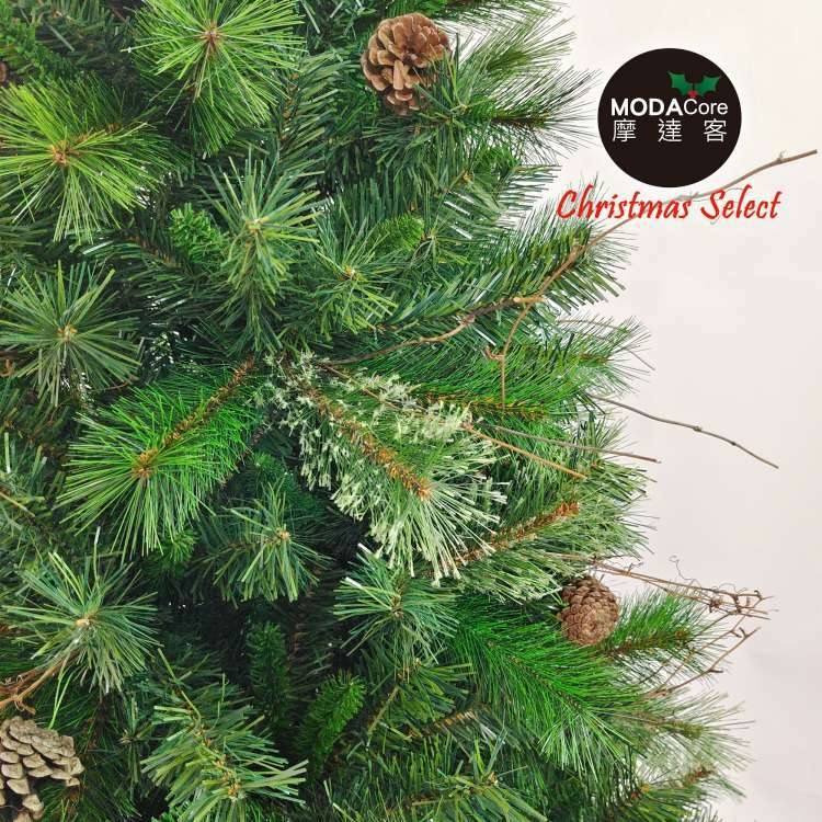 XMAS TREE, , large