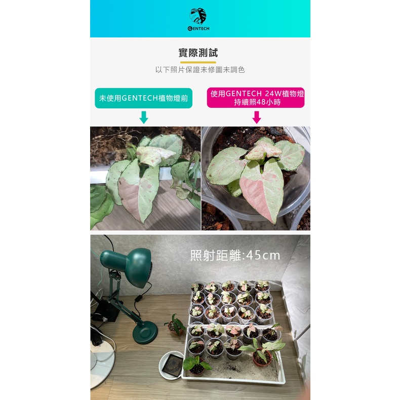 [GENTECH]全光譜LED植物燈 28W 演色性98 生長光 觀葉、塊根植物、多肉植物適用, , large