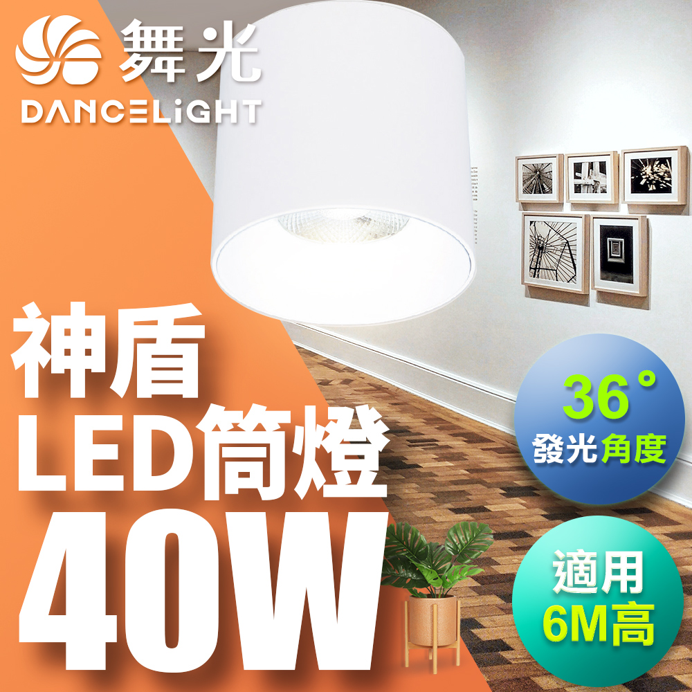 DanceLight dance light 40W Aegis downlight, beam angle 36 degrees, die-cast aluminum, fast heat dissipation, full voltage, one-piece molding, fashionable white (white light), , large