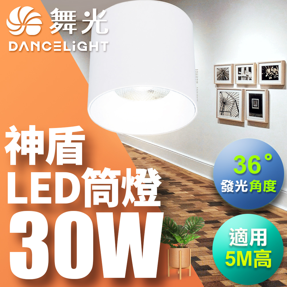 DanceLight舞光 30W 神盾筒燈 光束角36度 壓鑄鋁散熱快 全電壓 一體成形 時尚白/貴族黑(白光/黃光/自然光), , large