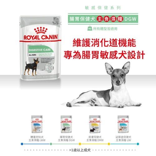 Royal Canin, , large