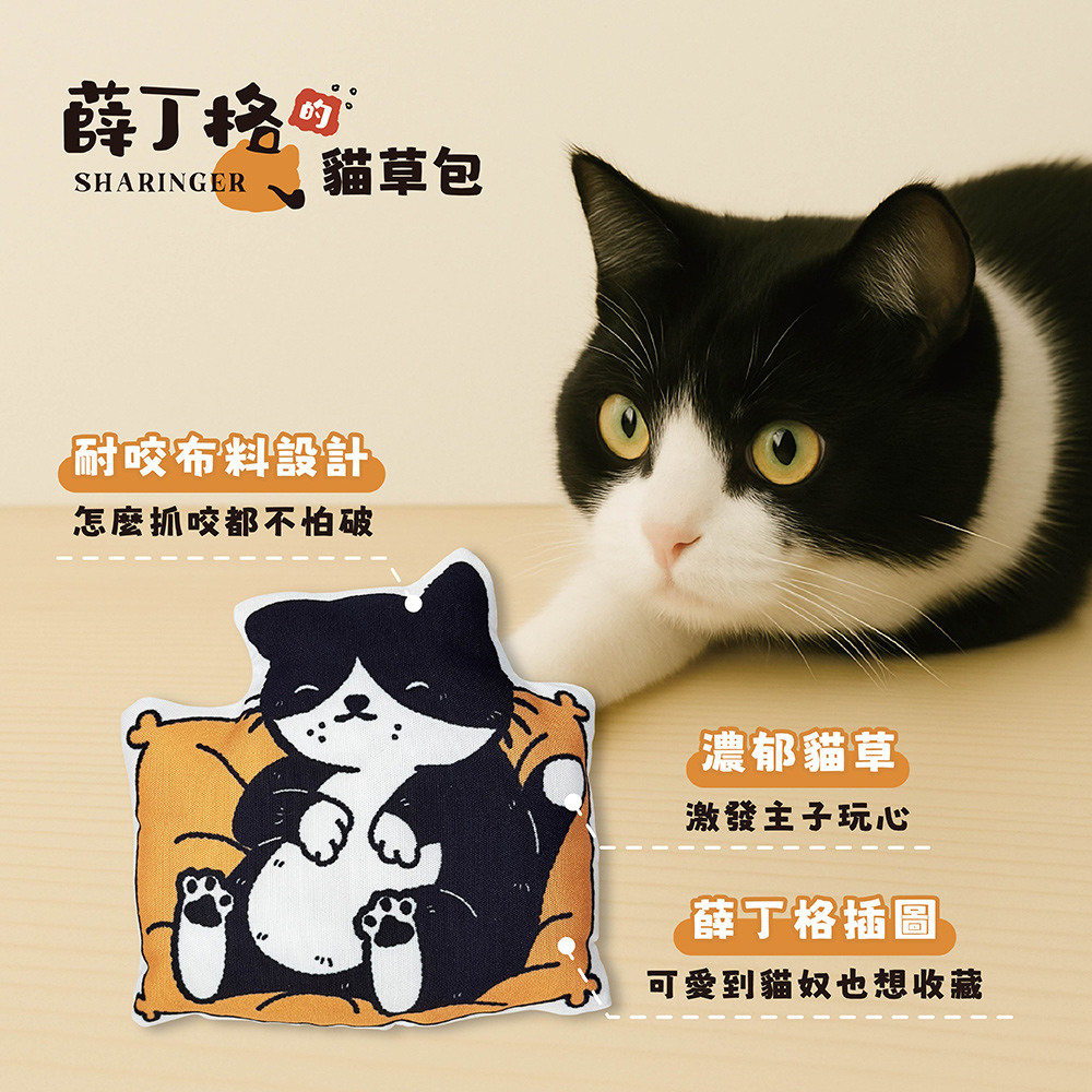 【薛丁格】貓草包 貓咪玩具 貓薄荷玩具 紓壓玩具 2入組 (多款任選), , large