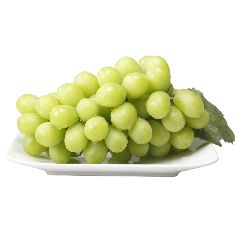 JP Muscat Grape , , large