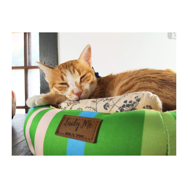 Lucky Me for pet, , large