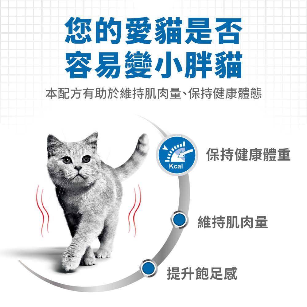 Royal Canin, , large