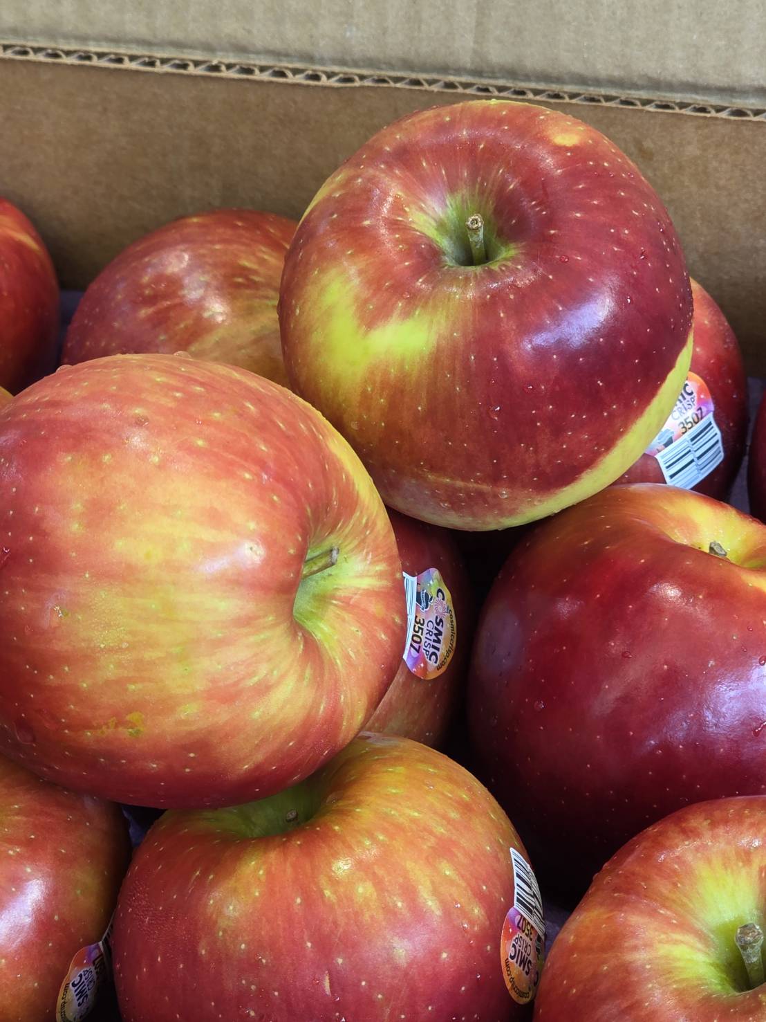 [芯鮮果]紐西蘭進口( 蜜富士蘋果 ), , large