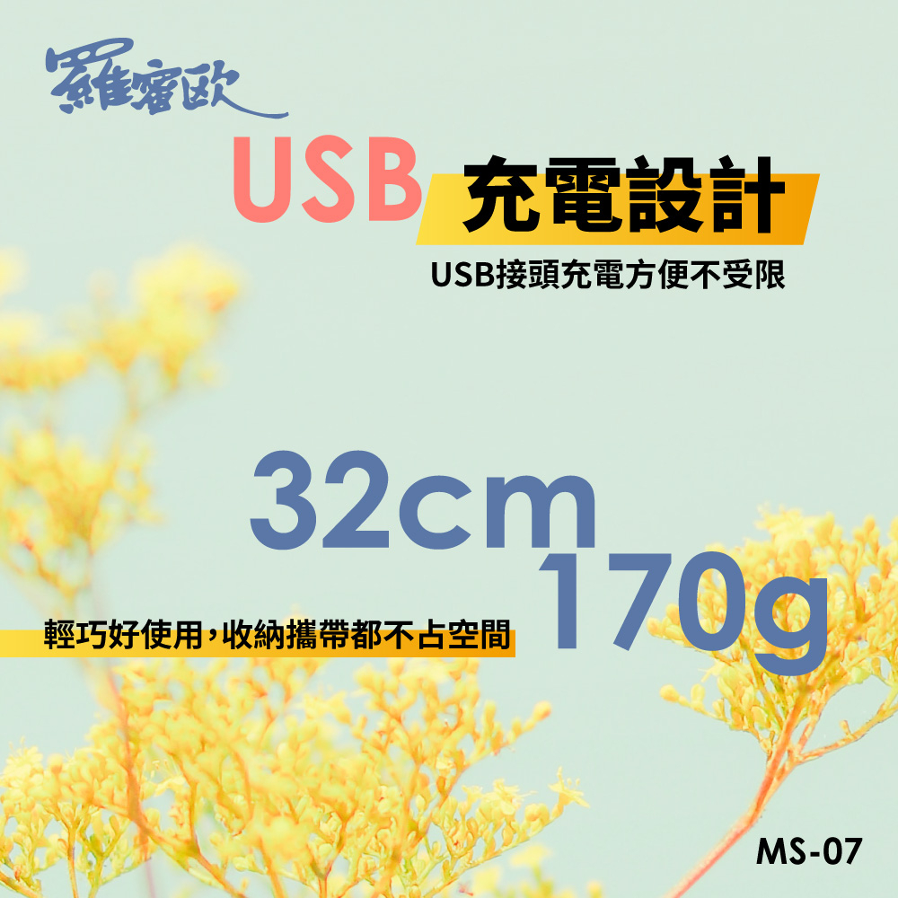 【羅蜜歐 ROMEO】 USB充電式迷你電蚊拍, , large