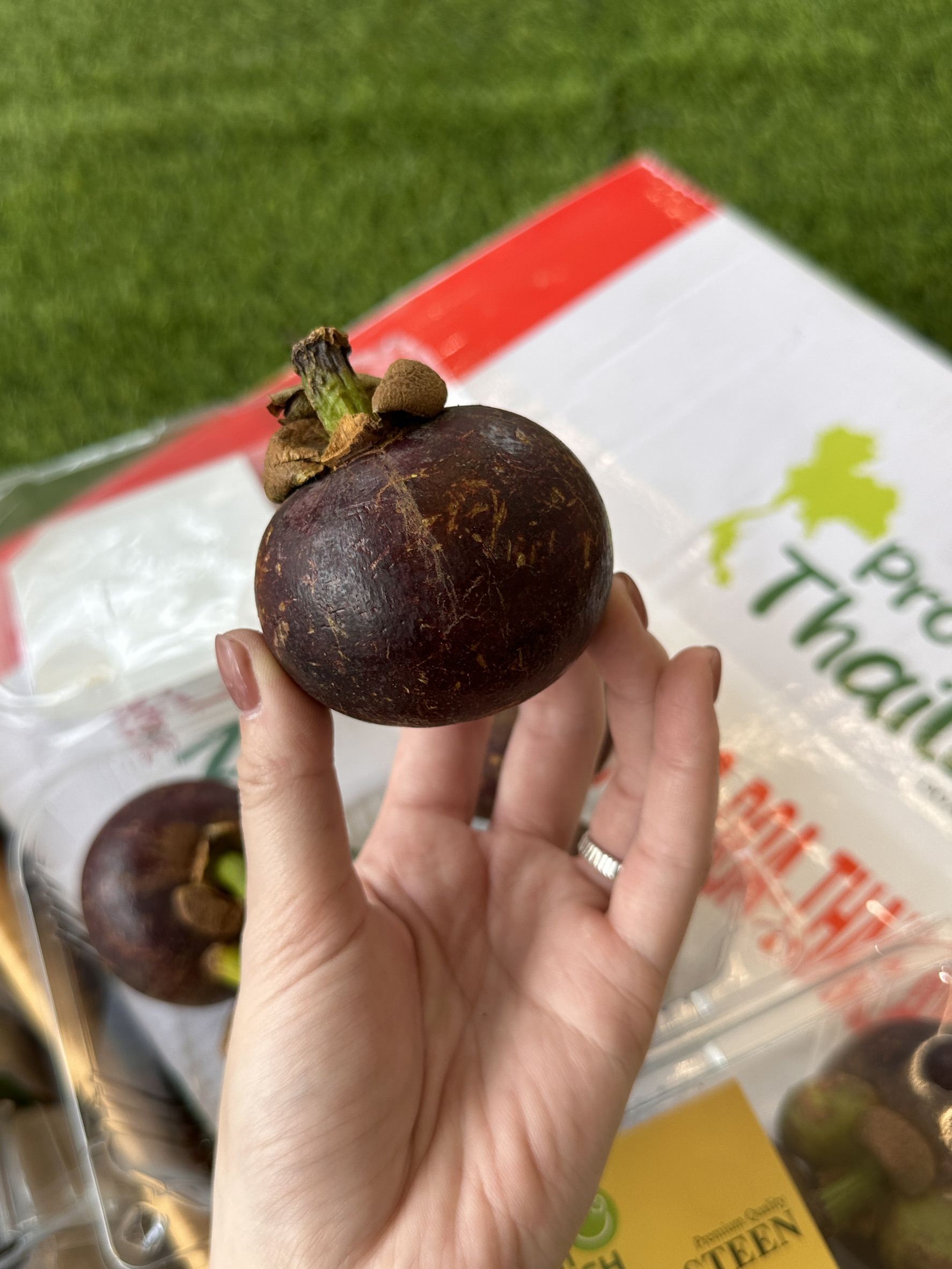Mangosteen, , large