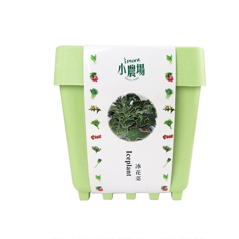 【心安購物】iPlant積木盆栽-冰花菜, , large