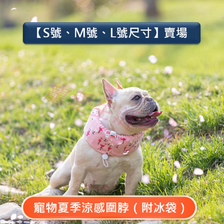 【寵愛生活本舖】-SML號-寵物涼感圍脖 寵物降溫 S、M、L號涼感造型圍脖 寵物冰圍脖, , large