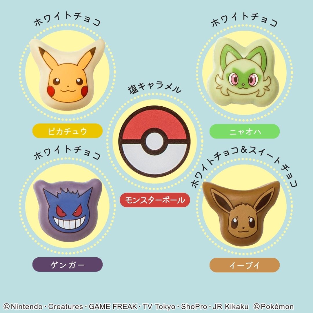 【Shofuuya】Valentine&rsquo;s Day Limited Pok&eacute;mon Shaped Chocolate Gift Box (15 pcs), , large