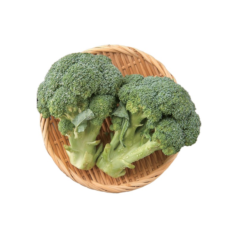 USA Broccoli (2pcs)